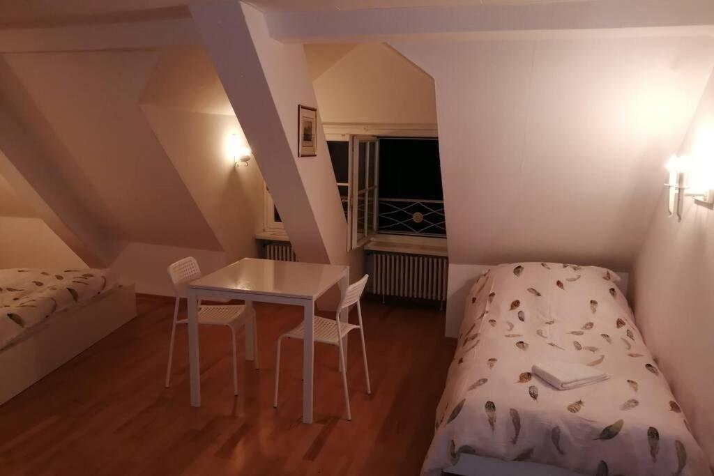 Studio F Am Barfusserplatz Central Old Town Apartment บาเซิล ภายนอก รูปภาพ