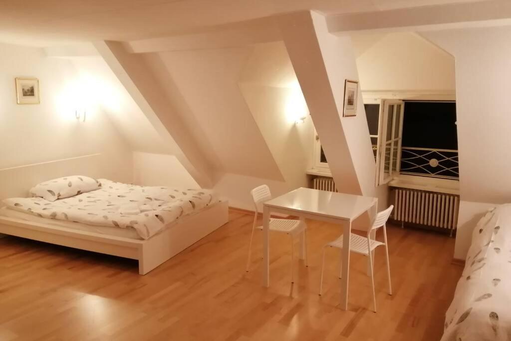 Studio F Am Barfusserplatz Central Old Town Apartment บาเซิล ภายนอก รูปภาพ