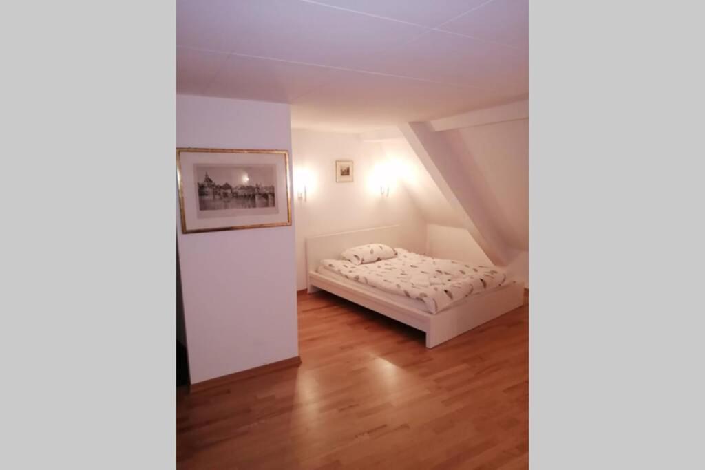 Studio F Am Barfusserplatz Central Old Town Apartment บาเซิล ภายนอก รูปภาพ